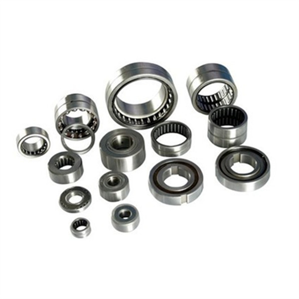 china cheap needle roller bearing