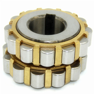Eccentric roller bearing introductions