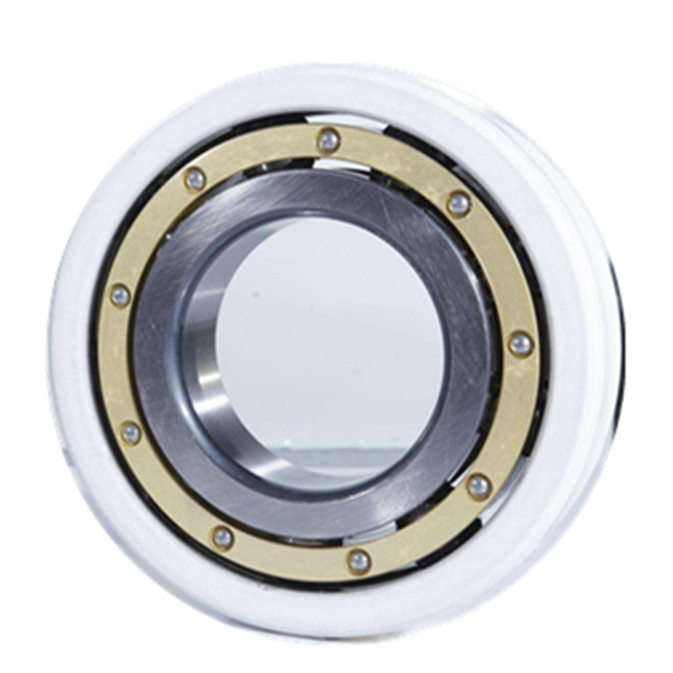 produce insulated bearing in motor
