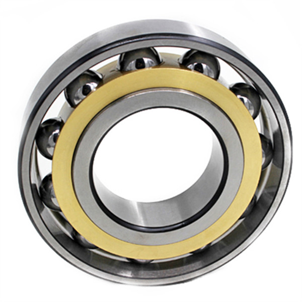 4 point angular contact ball bearing