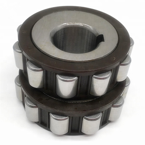 precision eccentric bearings