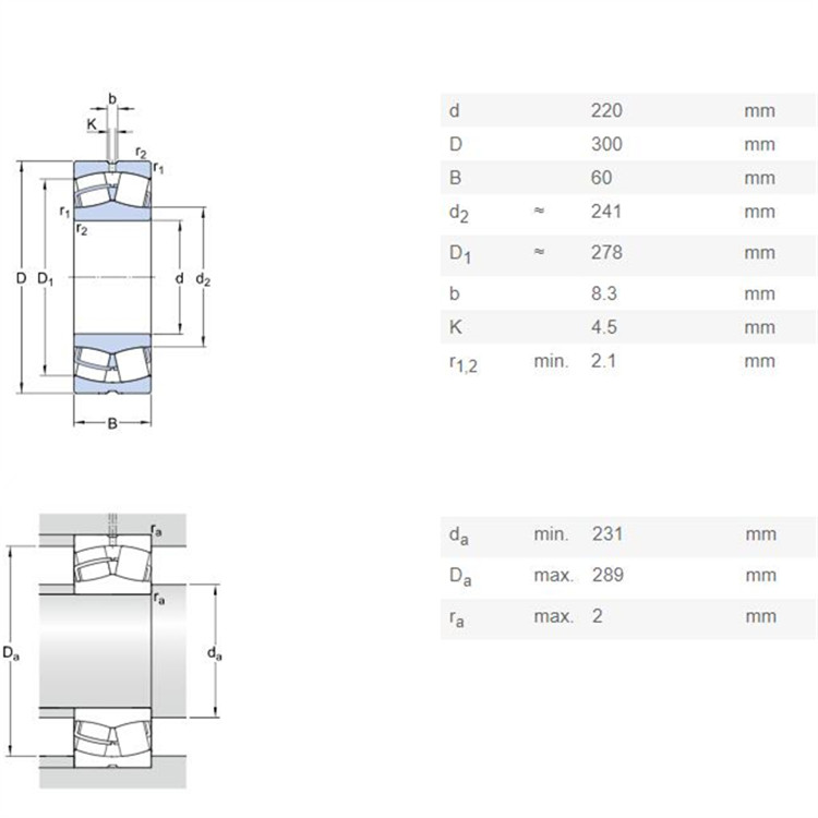 23944CAE4 bearing