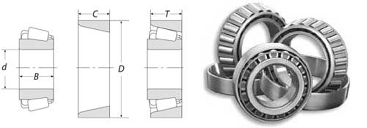 roller bearing