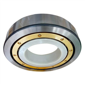 Insocoat bearing cage characteristics