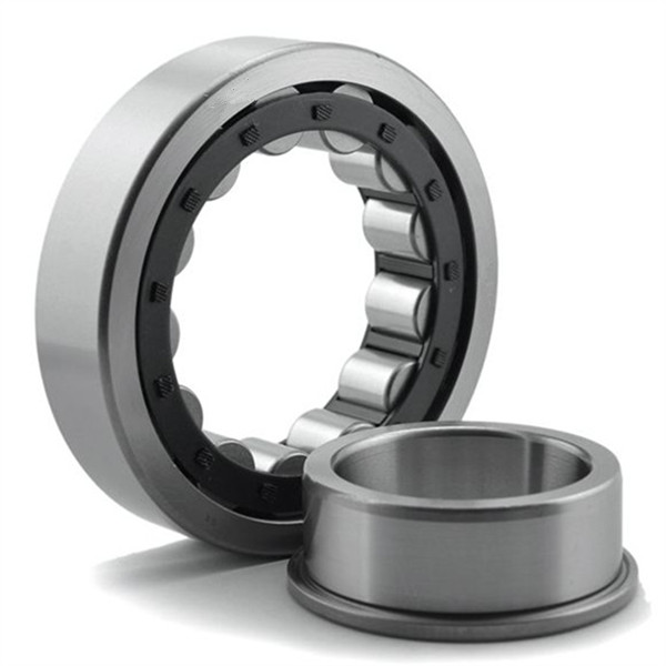bearing roller cylindrical