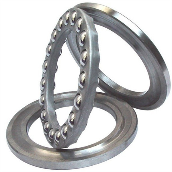 sealed thrust bearing