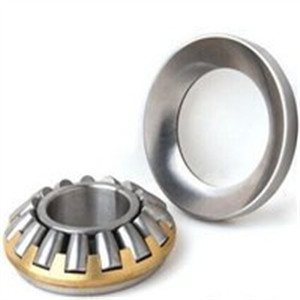 Do you like thrust journal bearing?