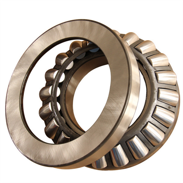 precision thrust bearing uses