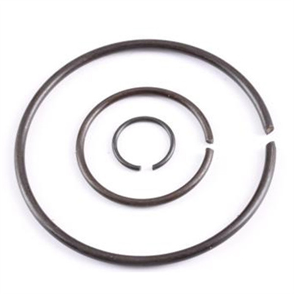 bearing retainer ring