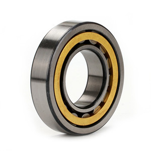 After two years of negotiations, customers from Southeast Asia finally purchased nu 216 bearing