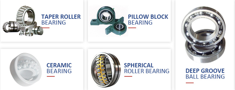 ball bearing