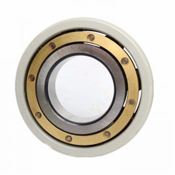 Customized insulated bearings for electric motors