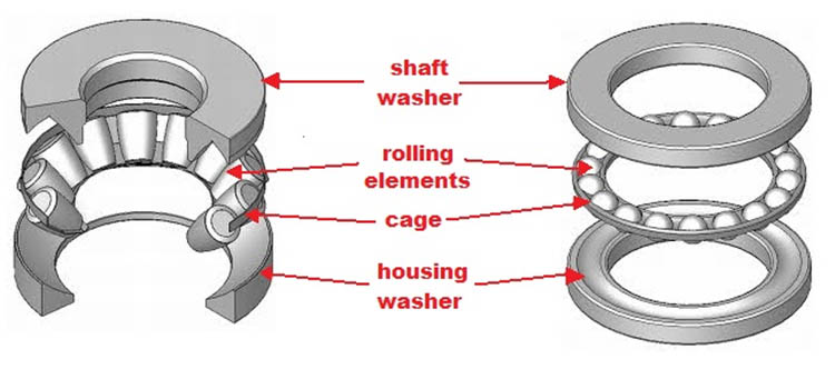 thrust bearing function