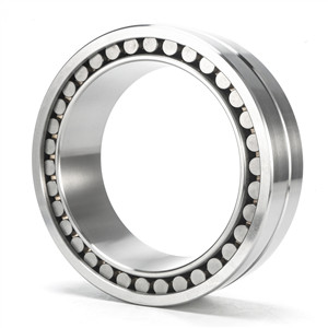 Do you know structure for double cylindrical roller bearing?