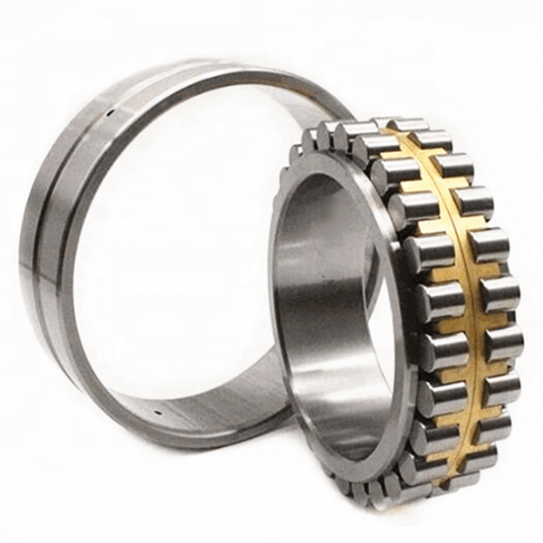 double cylindrical roller bearing