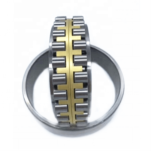 precision double cylindrical roller bearing