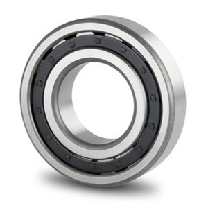 Wholesale axial cylindrical roller bearing nj 203 bearing from bearing factory
