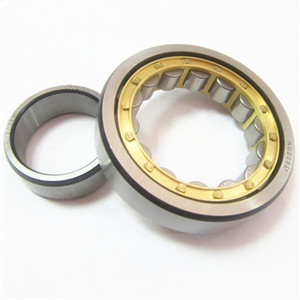 Where are you use the nu roller bearing?