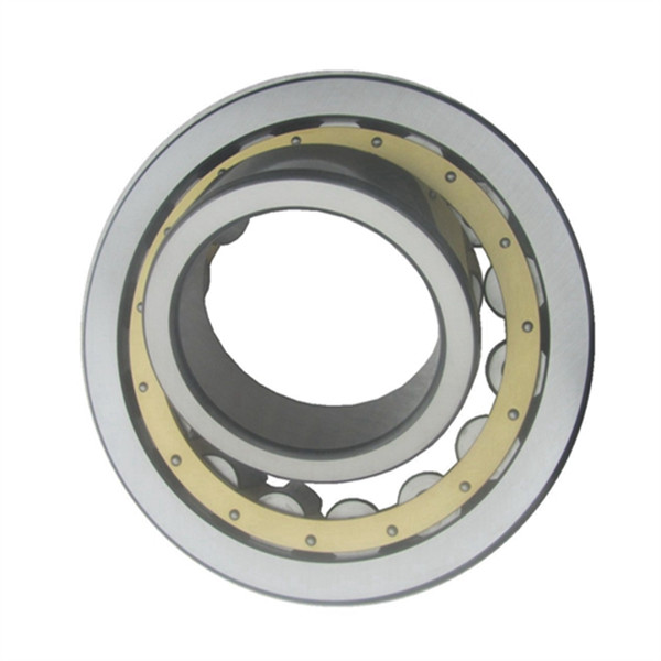 nu roller bearing