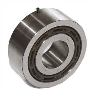 Structure classification for double roller ball bearing