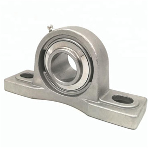 Do you like stainless pillow block bearing?