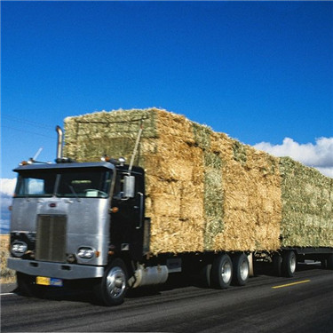 china bearing forklift