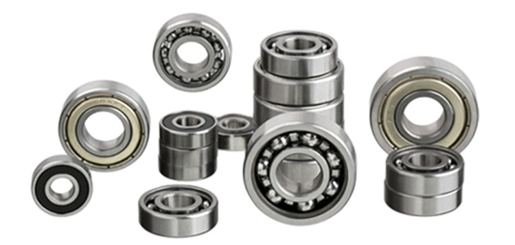 rolling contact bearing and sliding contact bearing