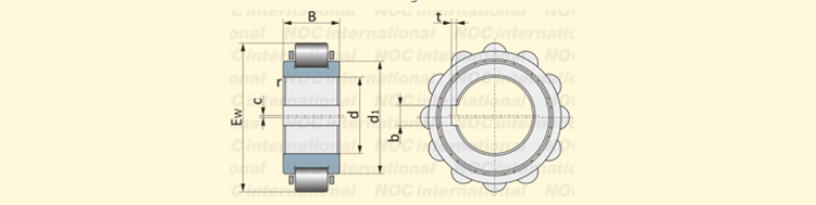 eccentric bearing