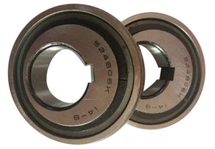 eccentric bearings