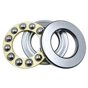 Do you like thrust bearing and radial bearing?