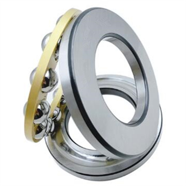 china thrust bearing and radial bearing
