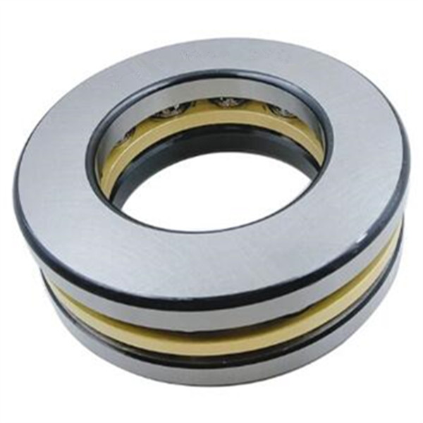 thrust bearing and radial bearing