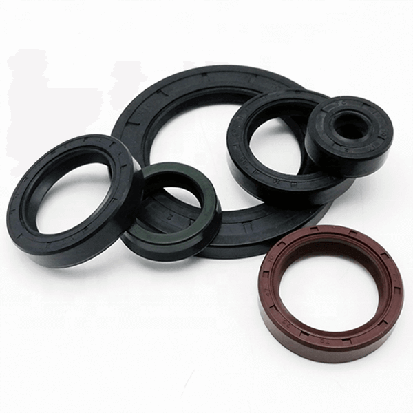 metric double lip oil seals