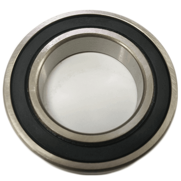 6009 rs bearing