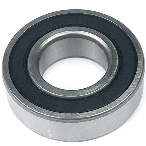 6009 rs bearing