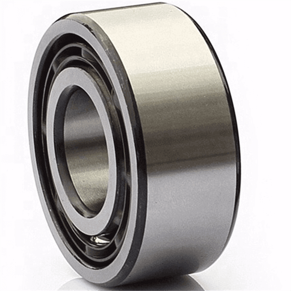 precision 4309 bearing