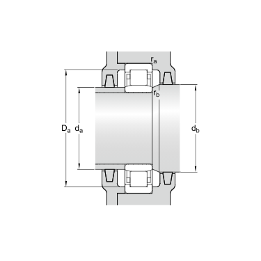 nu304 ecp bearing