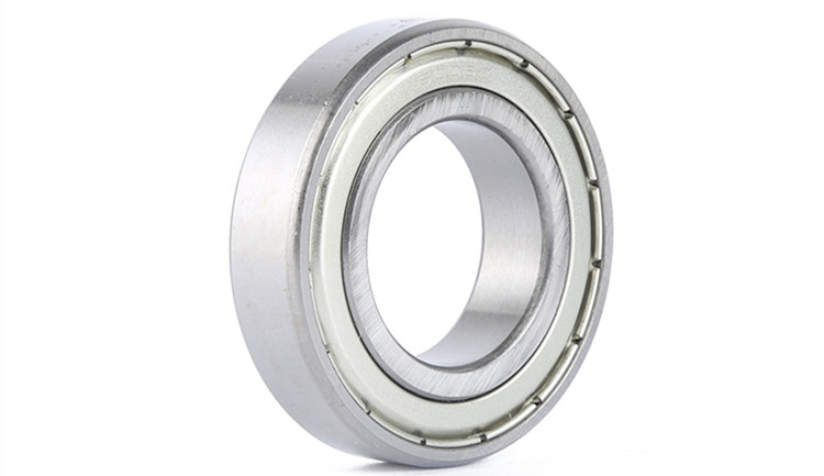 6006 ball bearing