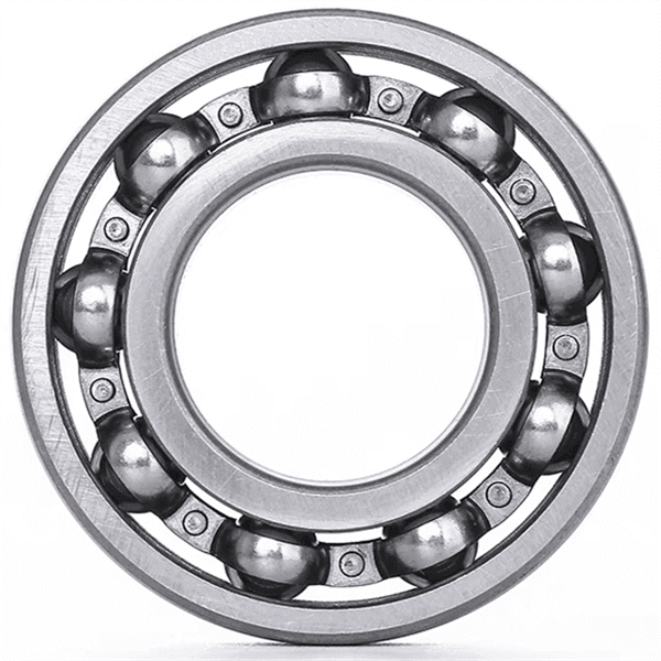 6009 c3 bearing