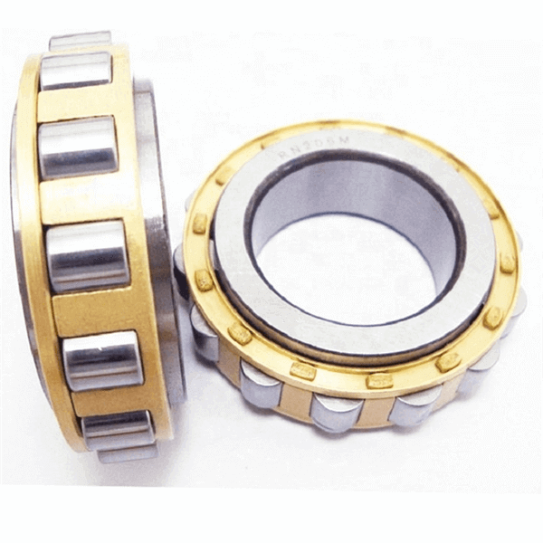 cylindrical roller bearing type
