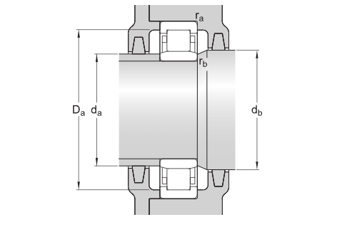 nu 1010 bearing