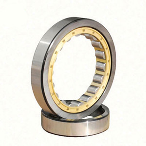 nu 1010 cylindrical roller bearing details