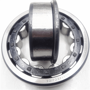 Cylindrical Roller Bearing