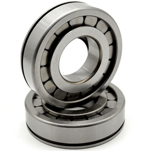 How to check cylindrical roller bearing specifications?