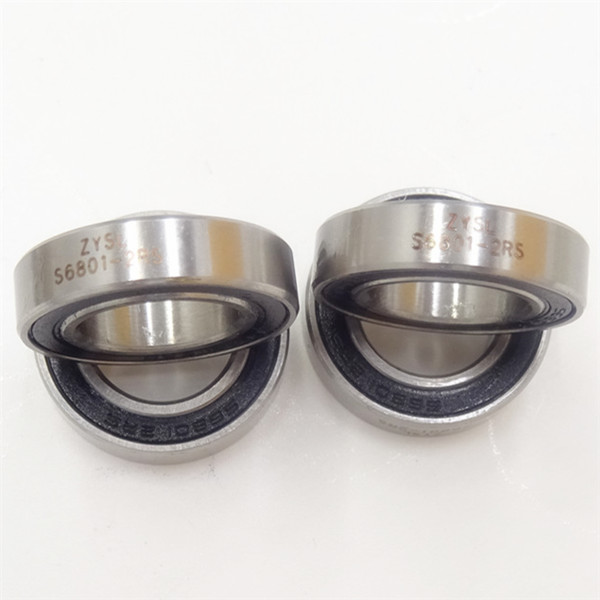 ss radial ball bearing