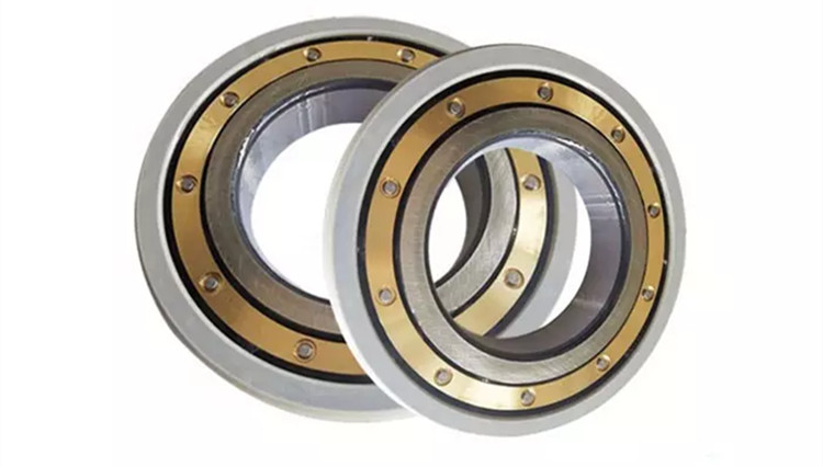 insulated bearings motor