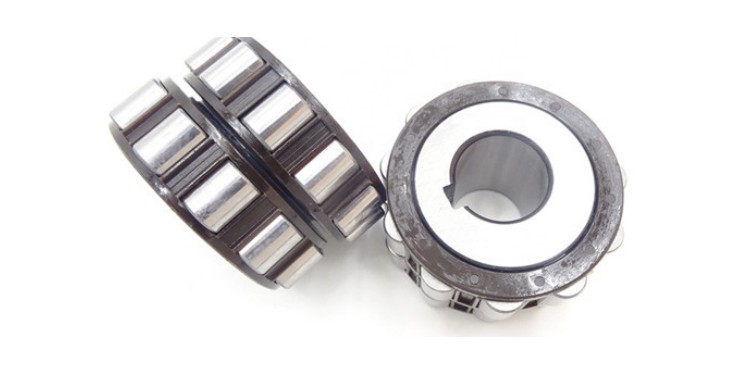 eccentric bearings