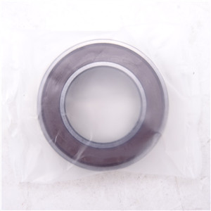 6905 2RS Bearing Thin Wall Ball Bearing 6905DDU