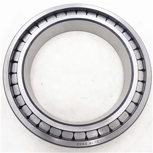 Do you know full complement roller bearing?