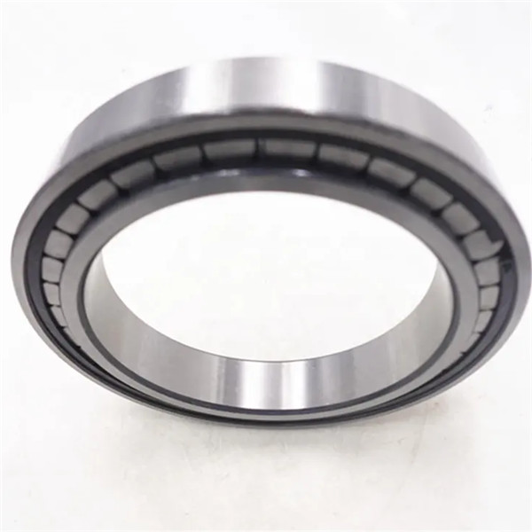 full complement roller bearing